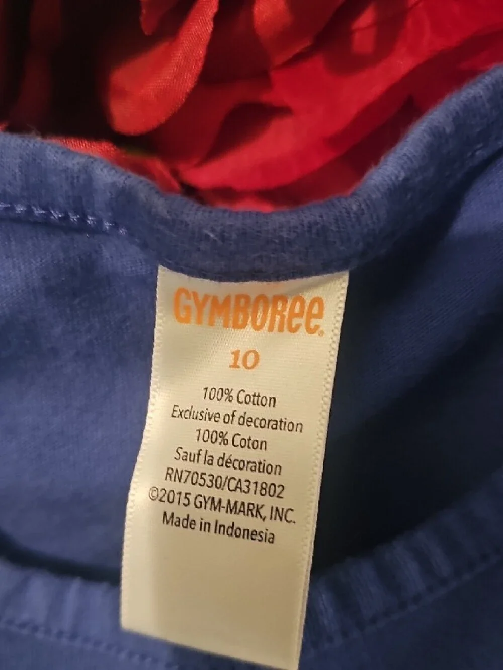 Gymboree Girls Blue Tee with Embroidered Floral Cat Size 10